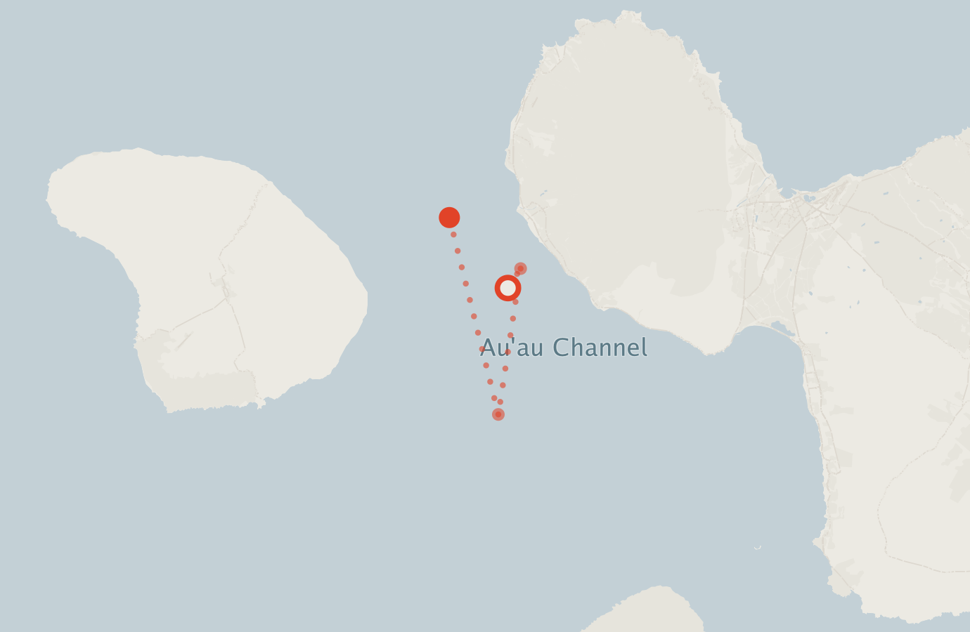 Activity map — real sighting points on an OpenStreetMap basemap
