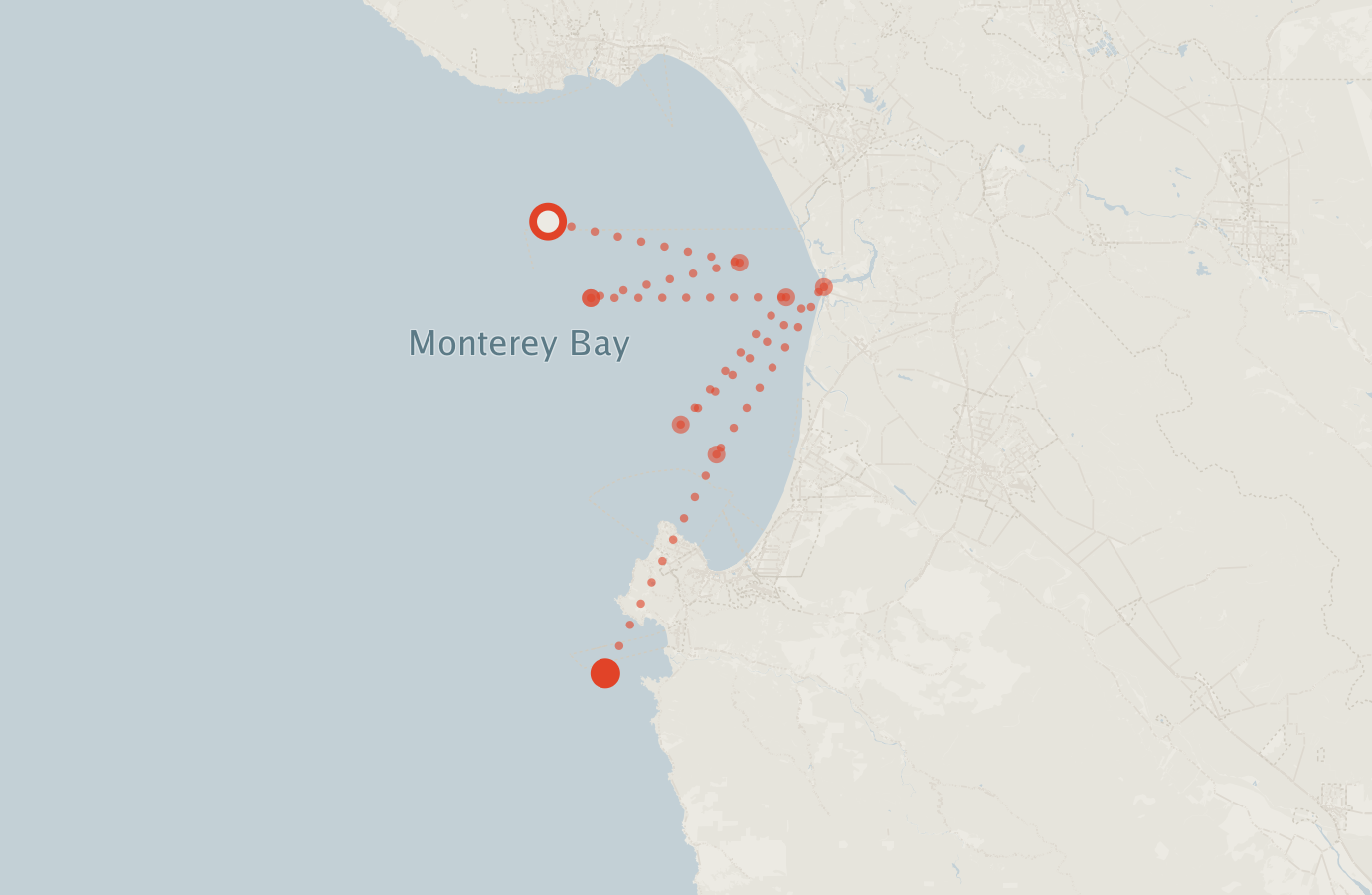 Activity map — real sighting points on an OpenStreetMap basemap