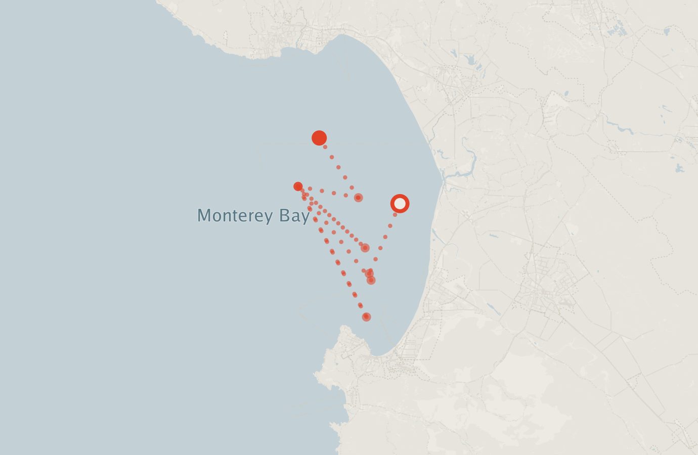Activity map — real sighting points on an OpenStreetMap basemap