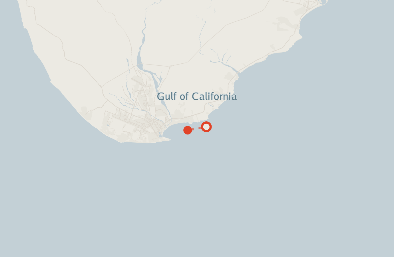 Activity map — real sighting points on an OpenStreetMap basemap