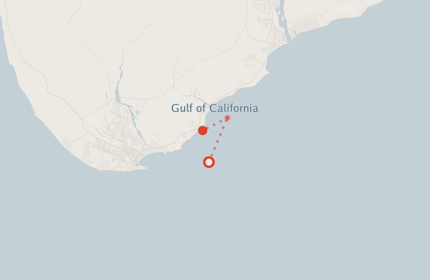 Activity map — real sighting points on an OpenStreetMap basemap