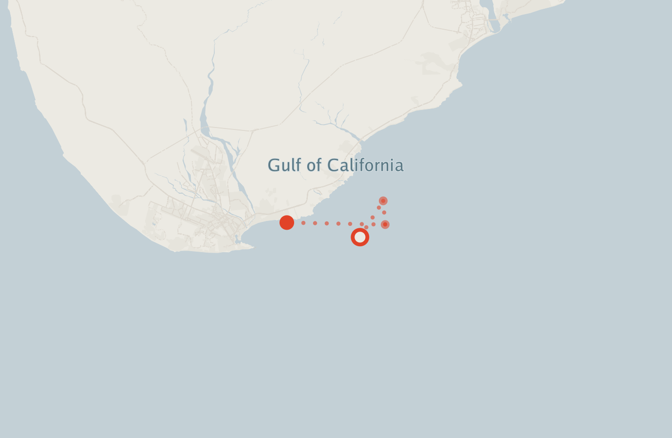 Activity map — real sighting points on an OpenStreetMap basemap