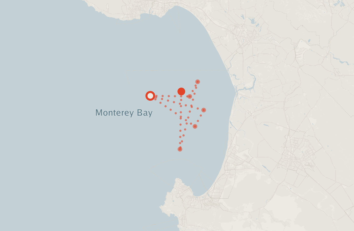 Activity map — real sighting points on an OpenStreetMap basemap