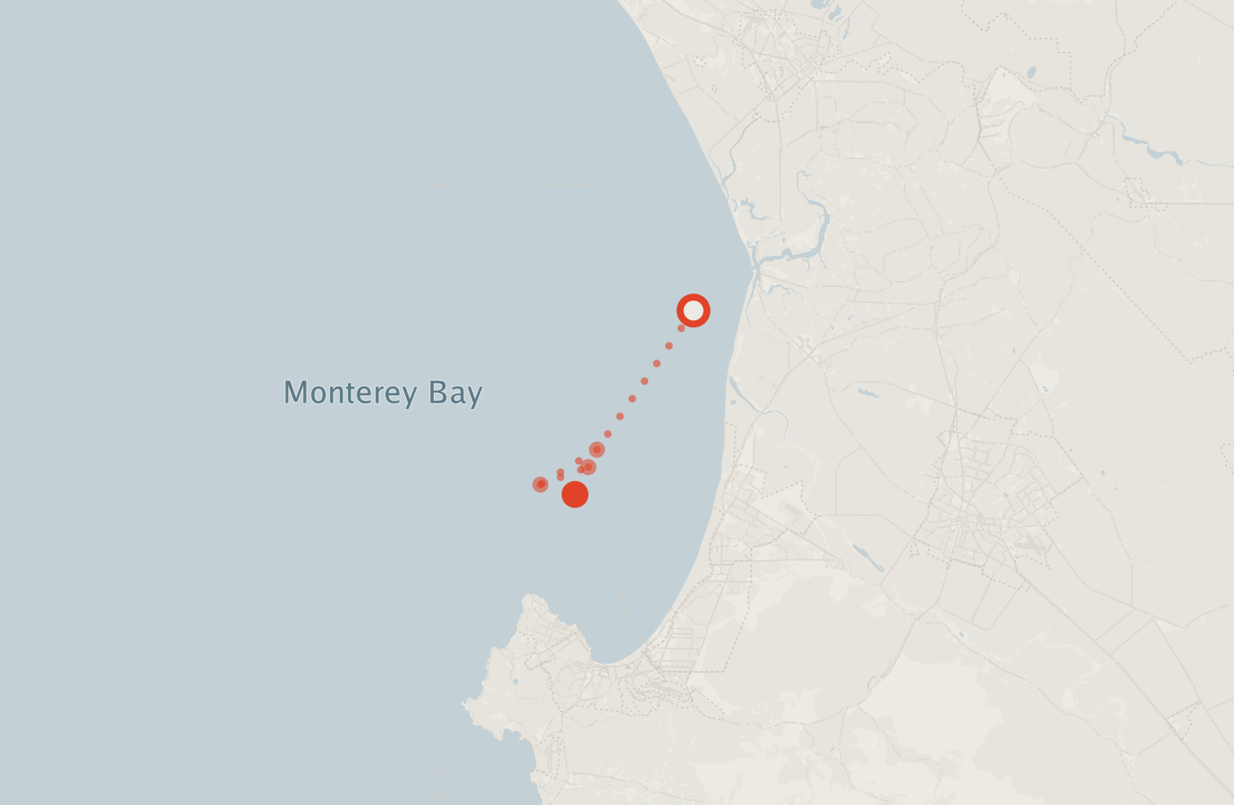 Activity map — real sighting points on an OpenStreetMap basemap