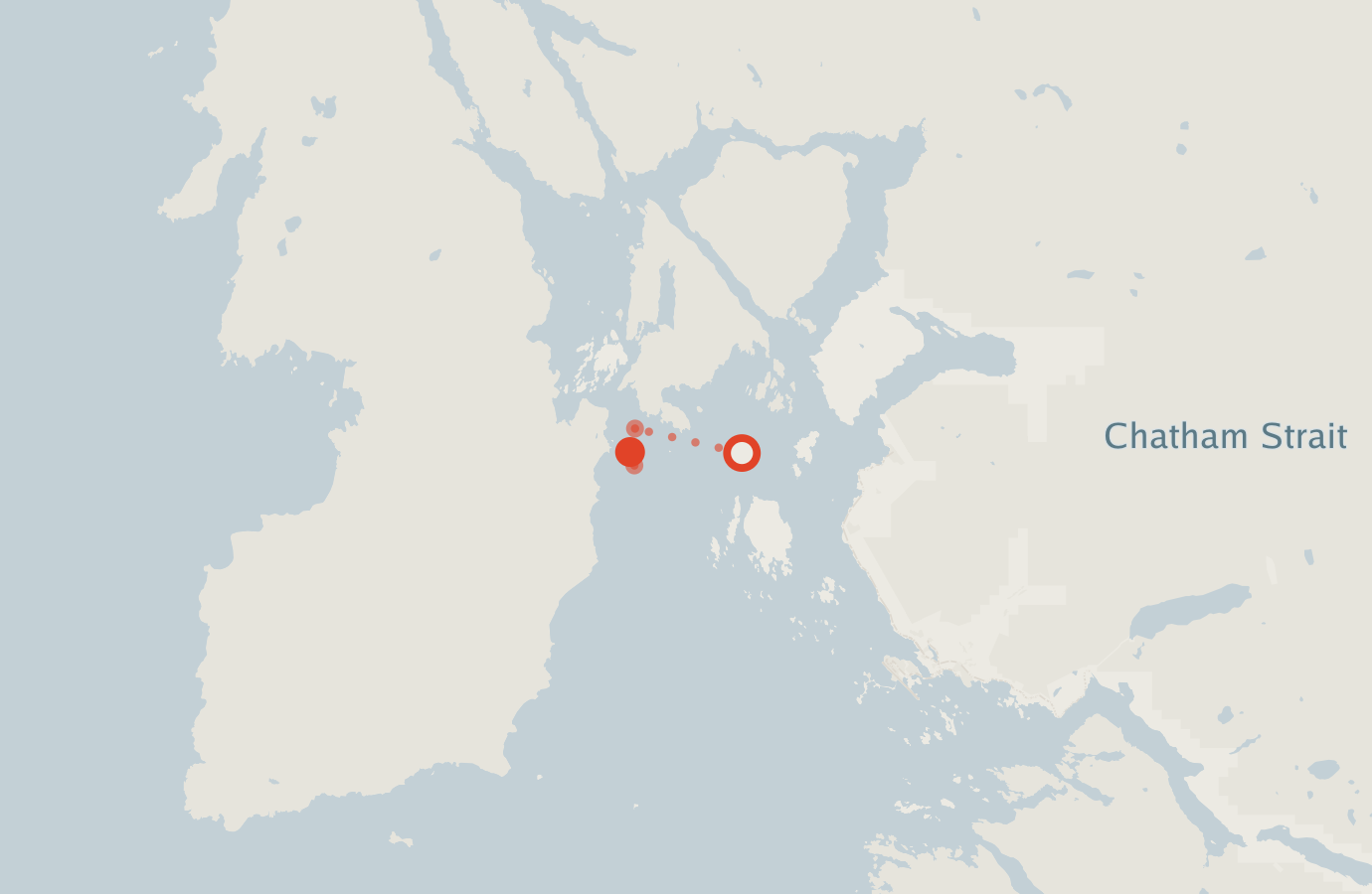 Activity map — real sighting points on an OpenStreetMap basemap