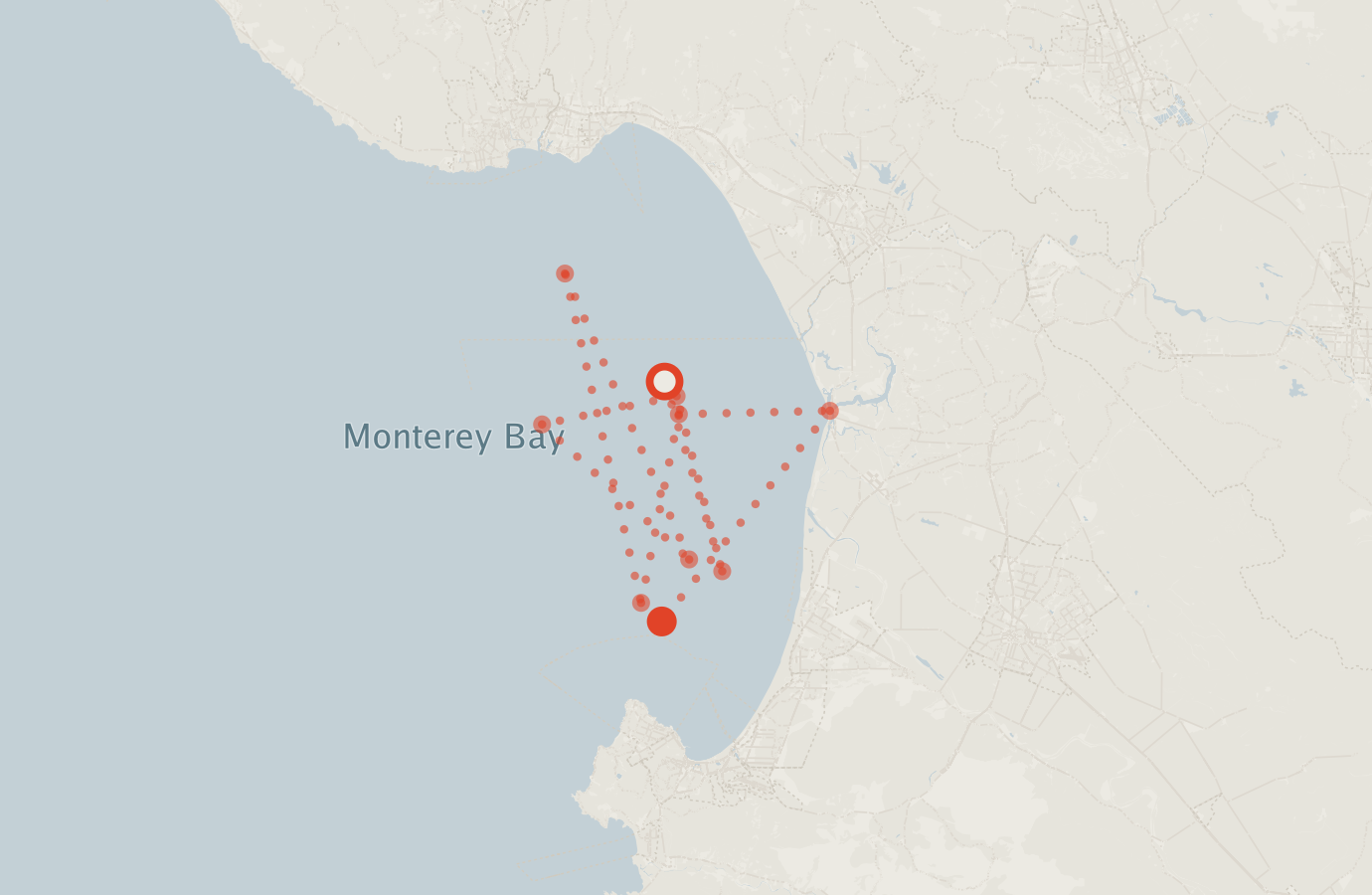 Activity map — real sighting points on an OpenStreetMap basemap
