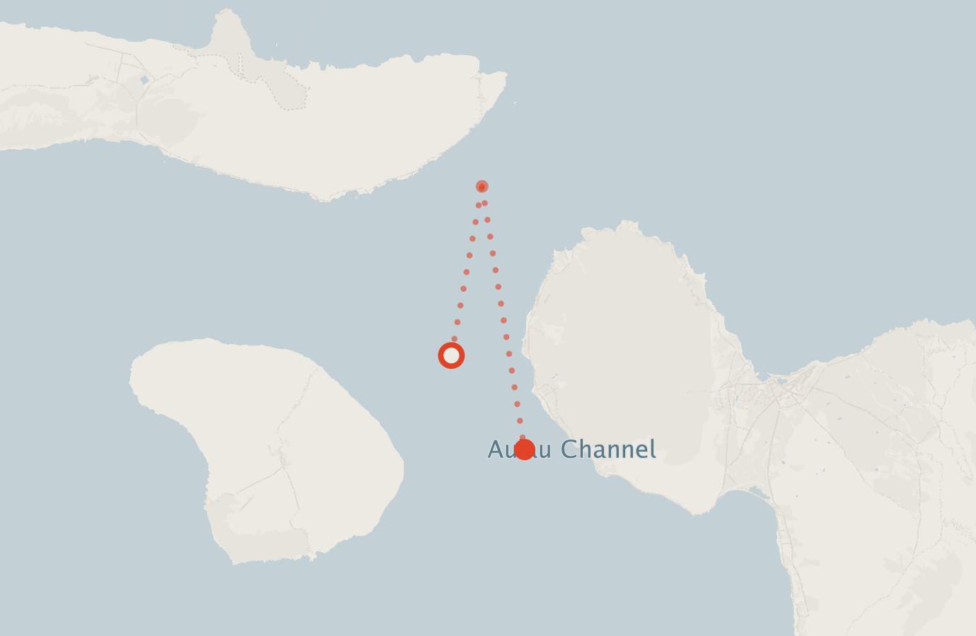 Activity map — real sighting points on an OpenStreetMap basemap