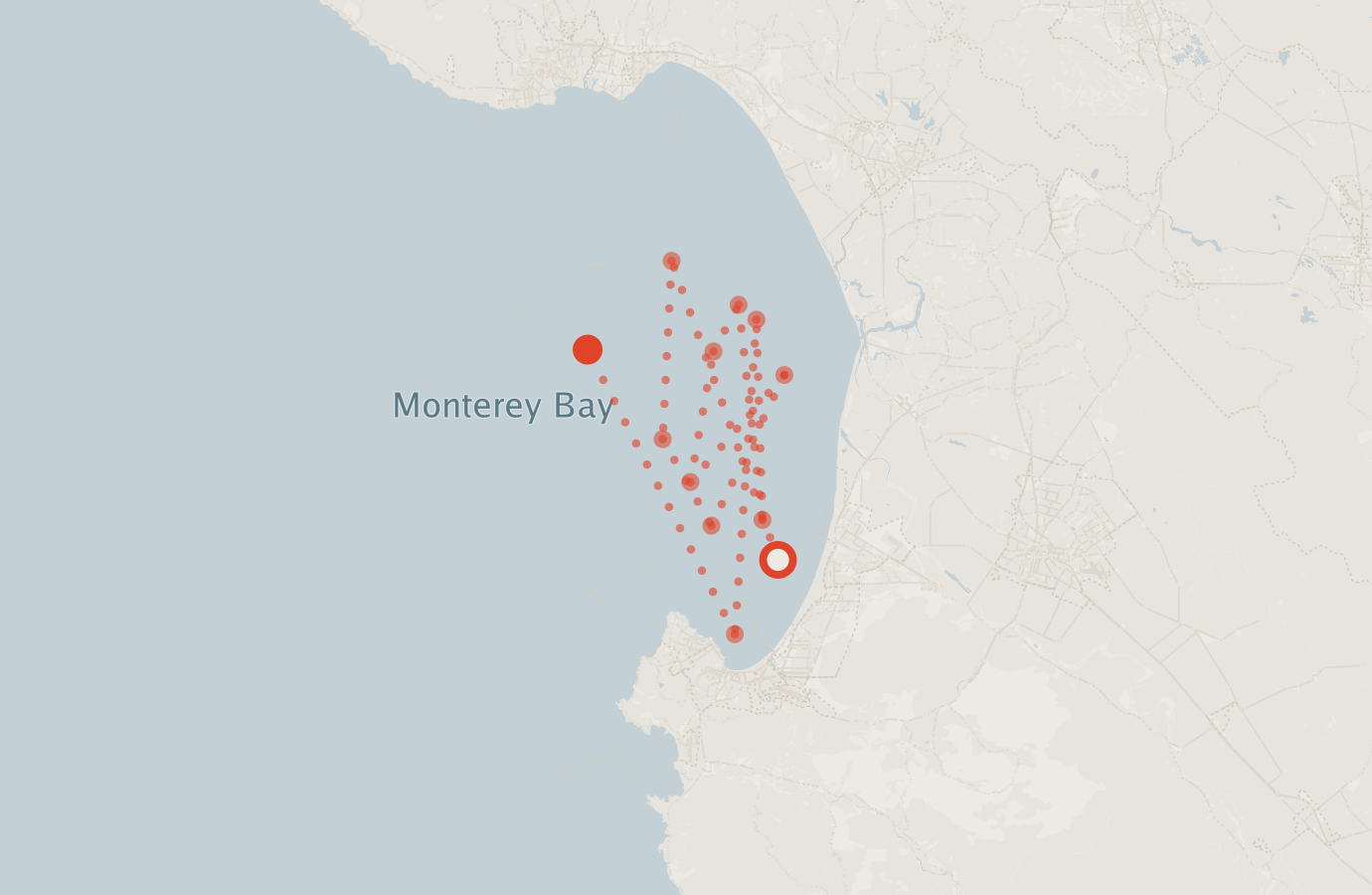 Activity map — real sighting points on an OpenStreetMap basemap