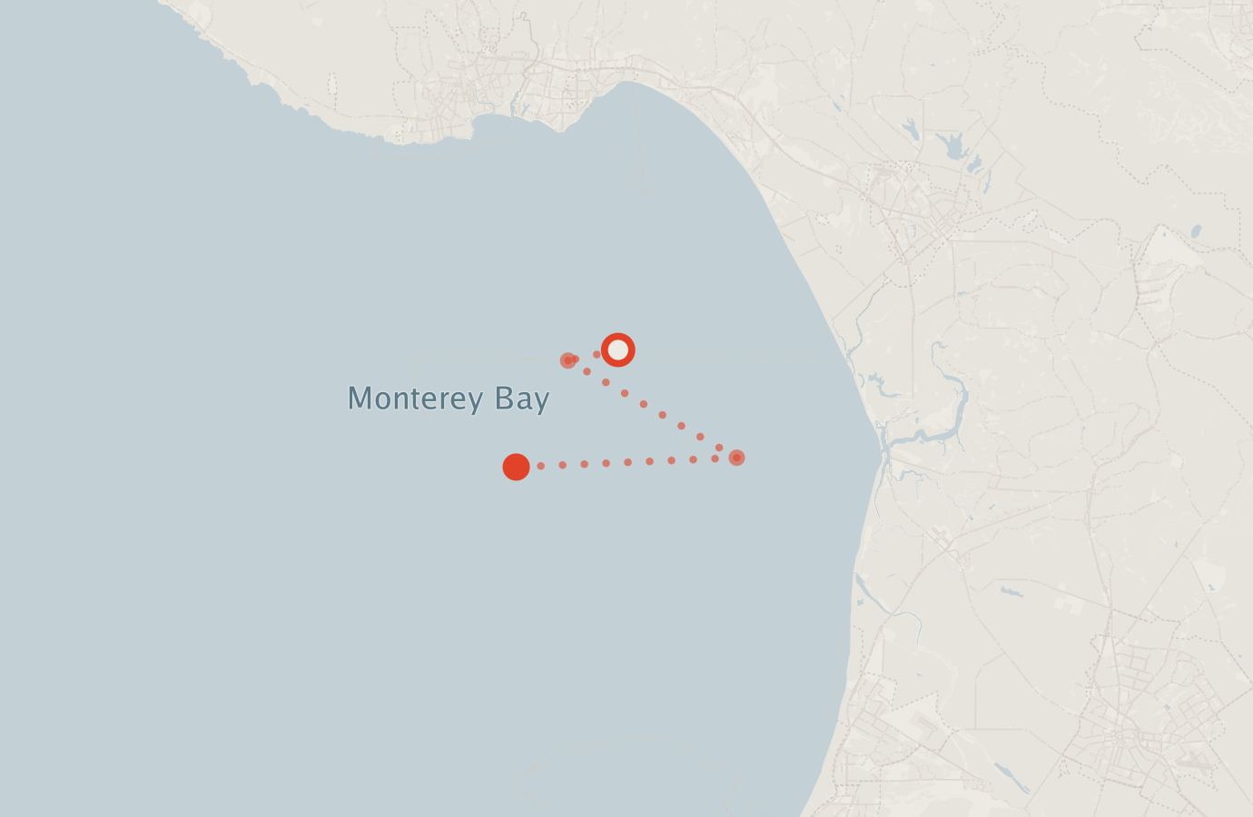 Activity map — real sighting points on an OpenStreetMap basemap