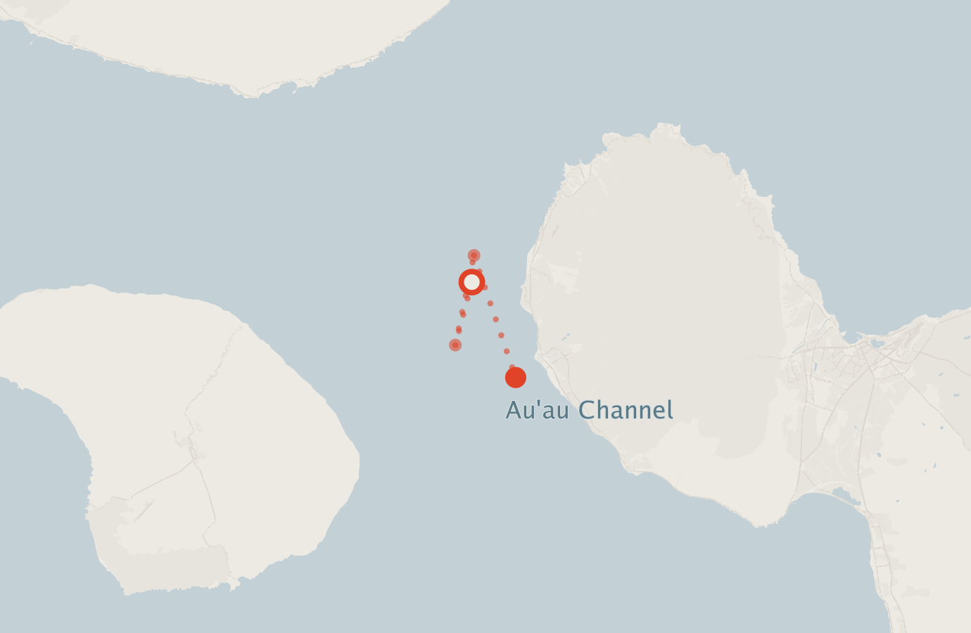 Activity map — real sighting points on an OpenStreetMap basemap