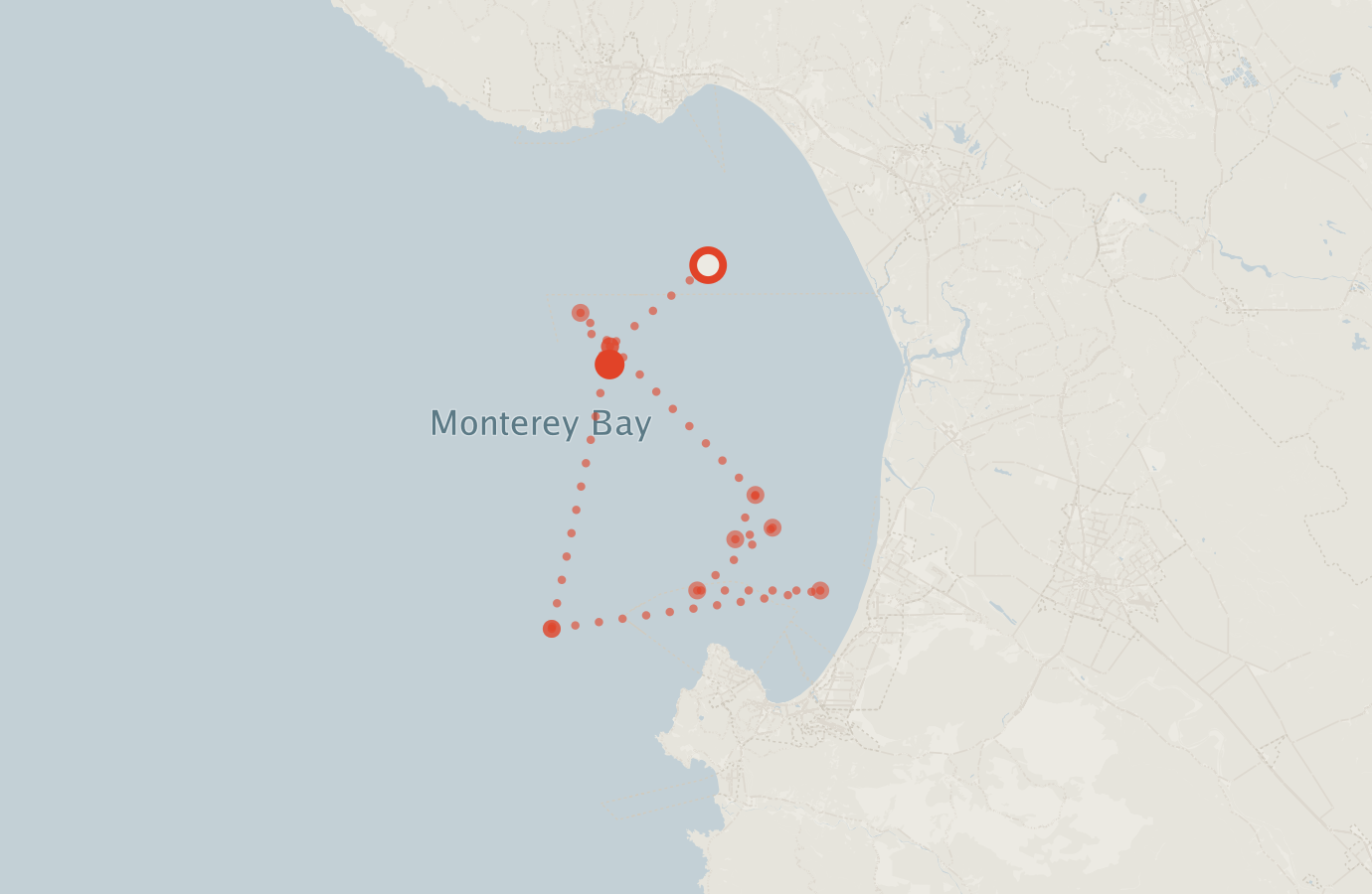 Activity map — real sighting points on an OpenStreetMap basemap