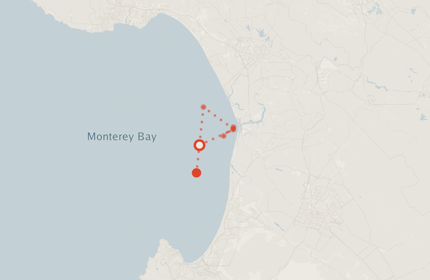 Activity map — real sighting points on an OpenStreetMap basemap