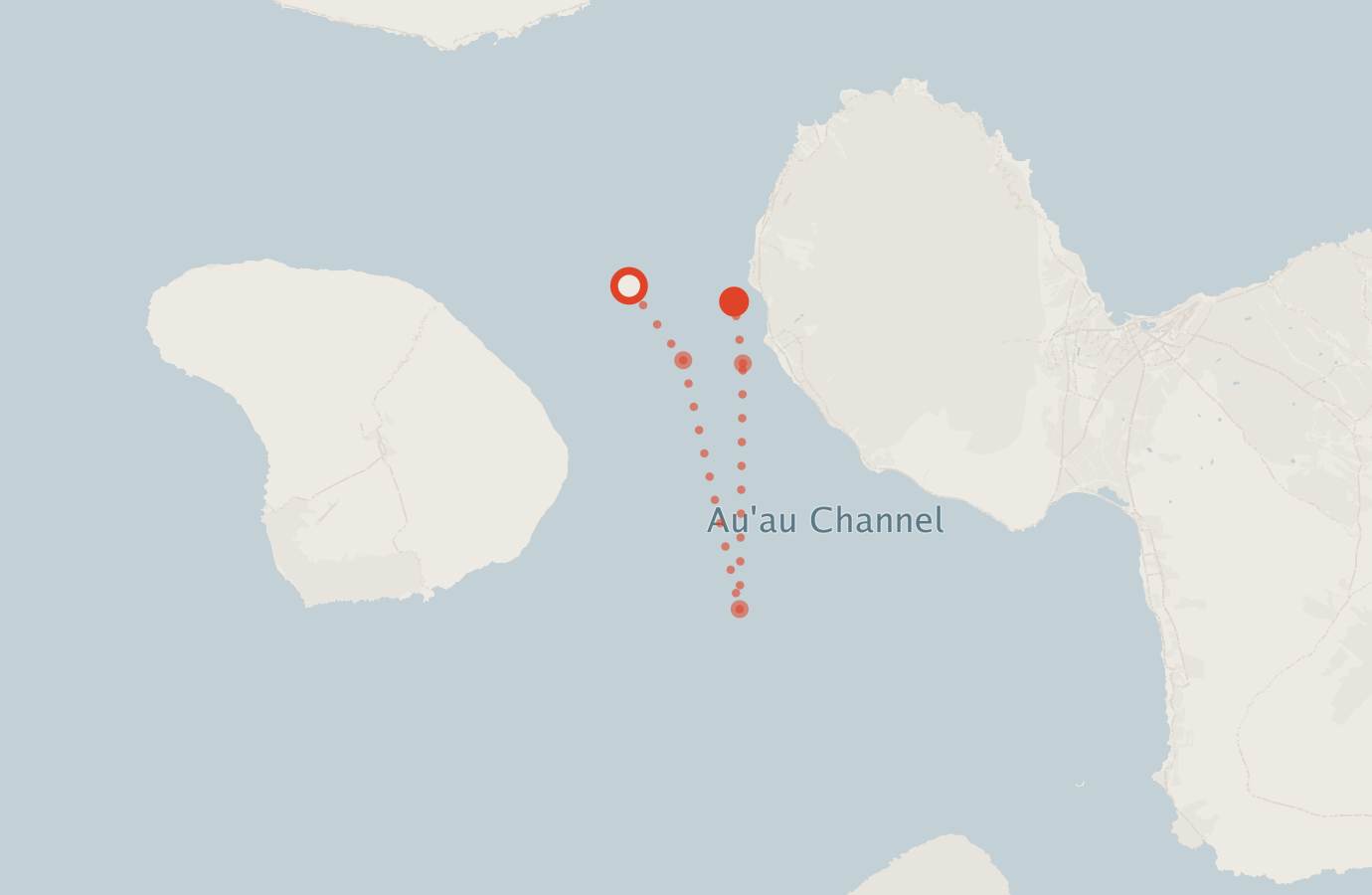 Activity map — real sighting points on an OpenStreetMap basemap