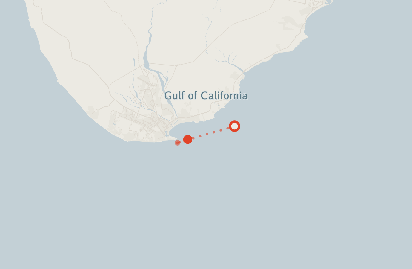 Activity map — real sighting points on an OpenStreetMap basemap
