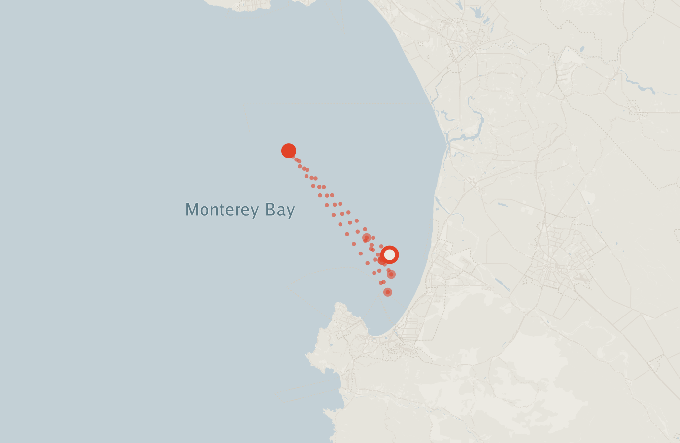 Activity map — real sighting points on an OpenStreetMap basemap
