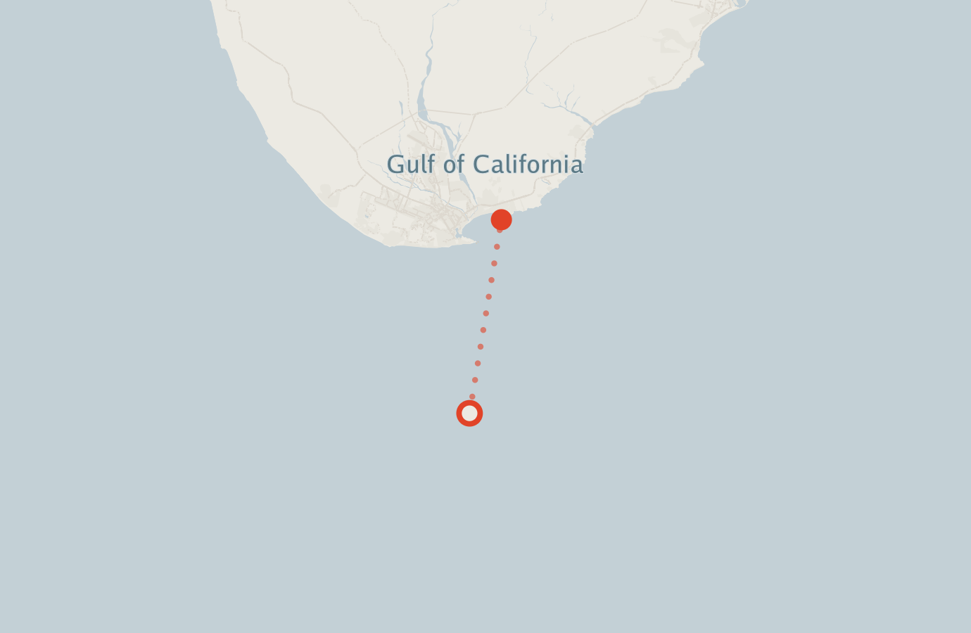 Activity map — real sighting points on an OpenStreetMap basemap