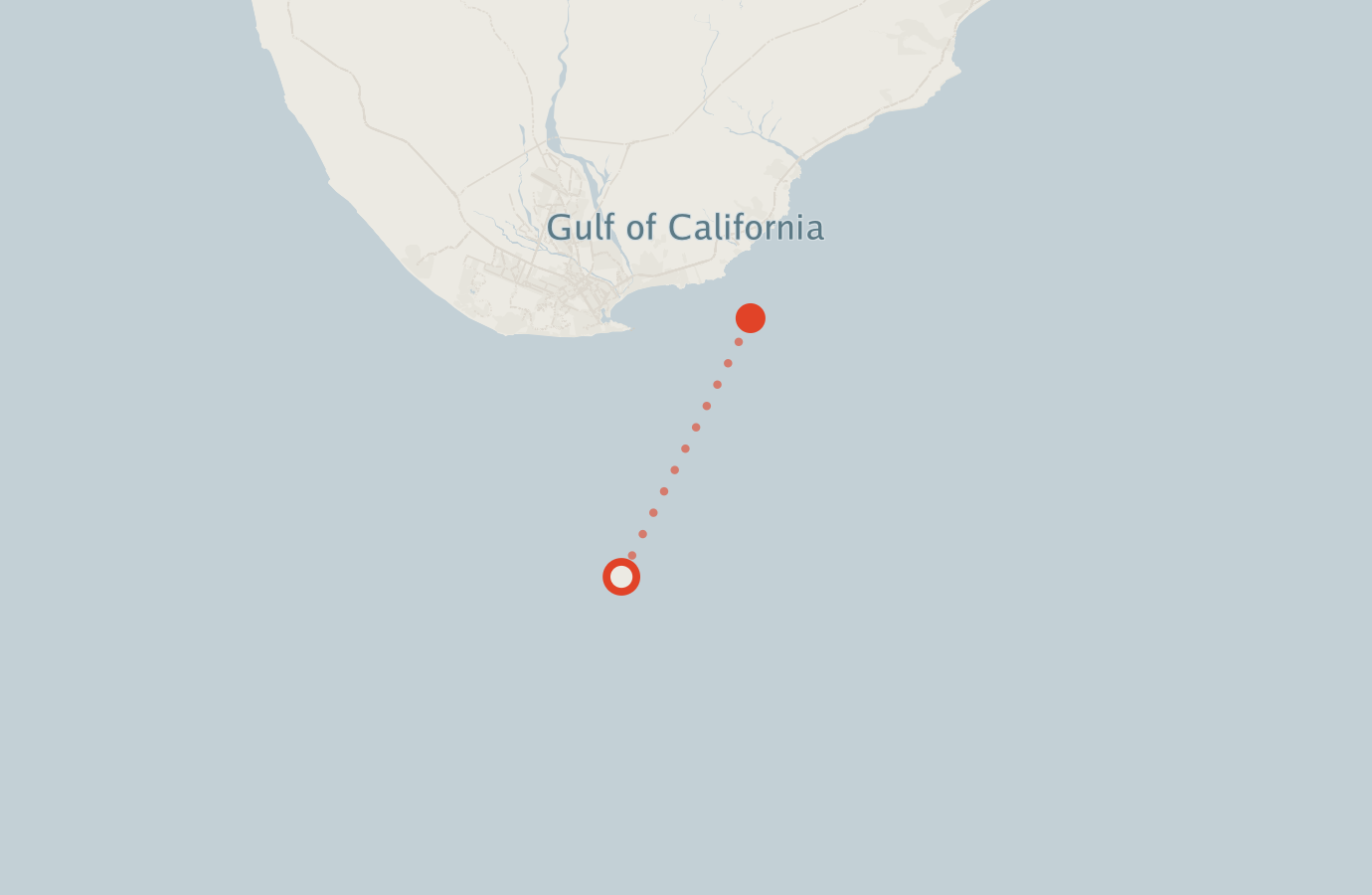 Activity map — real sighting points on an OpenStreetMap basemap