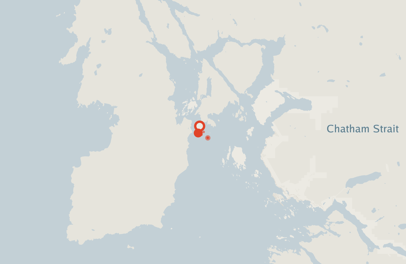 Activity map — real sighting points on an OpenStreetMap basemap