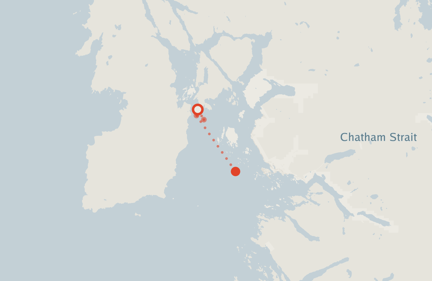 Activity map — real sighting points on an OpenStreetMap basemap