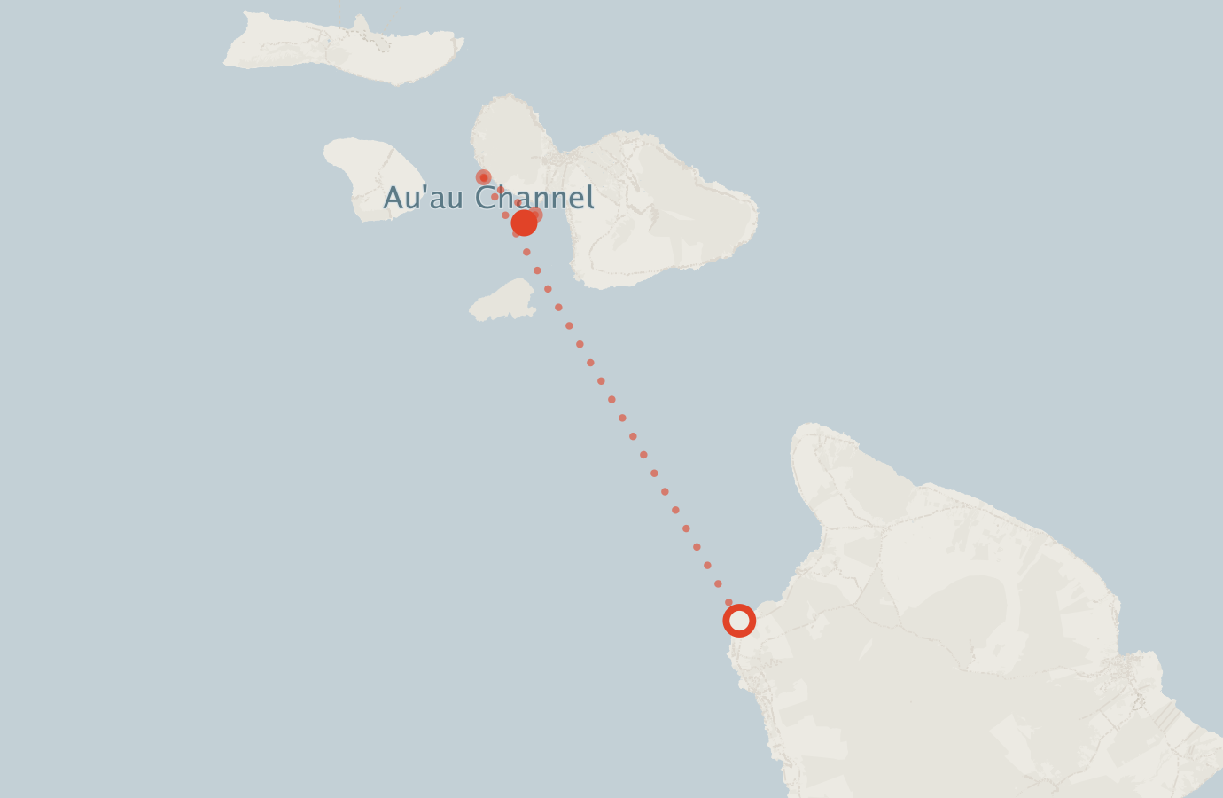 Activity map — real sighting points on an OpenStreetMap basemap