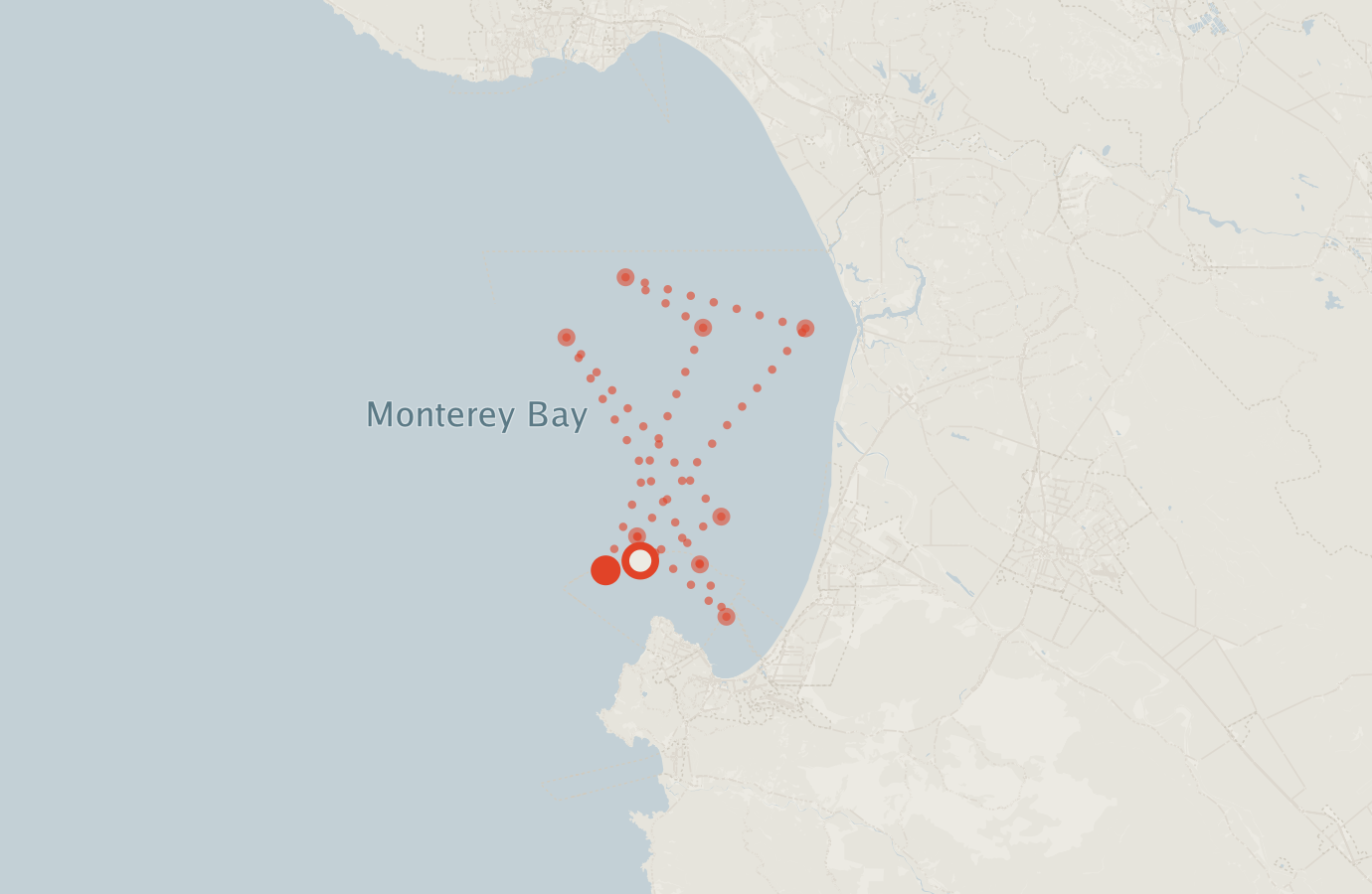 Activity map — real sighting points on an OpenStreetMap basemap