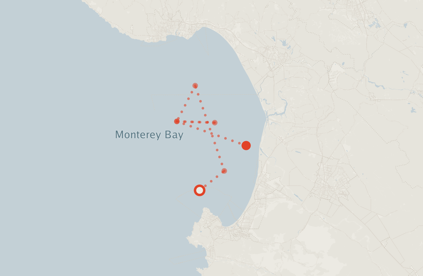 Activity map — real sighting points on an OpenStreetMap basemap