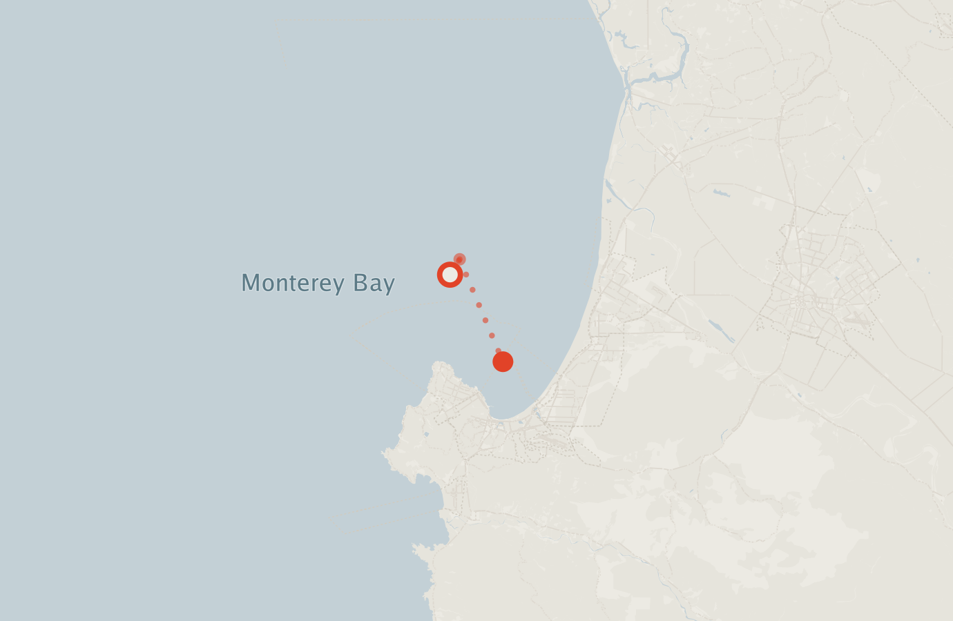 Activity map — real sighting points on an OpenStreetMap basemap