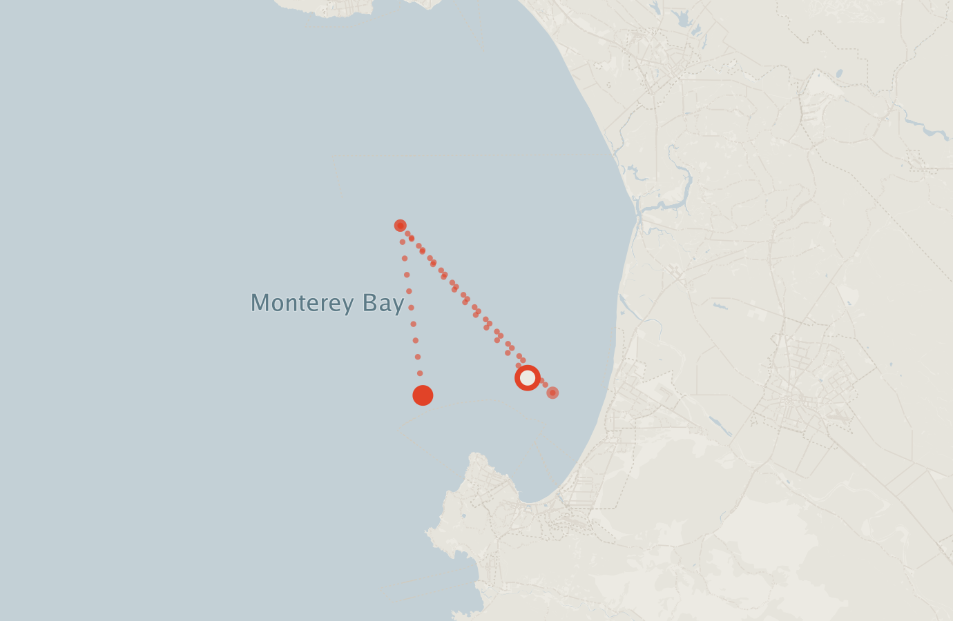 Activity map — real sighting points on an OpenStreetMap basemap