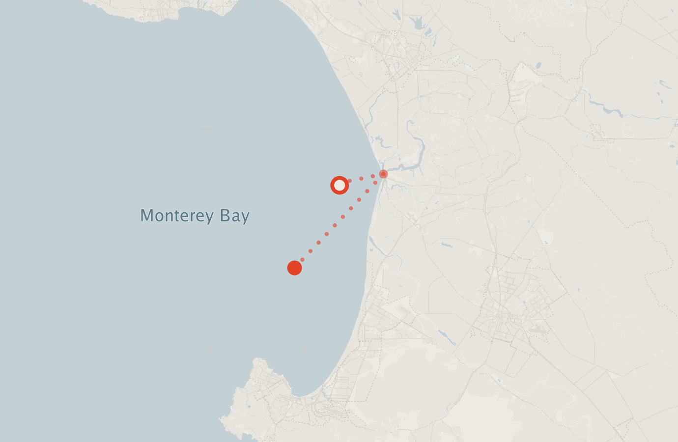 Activity map — real sighting points on an OpenStreetMap basemap