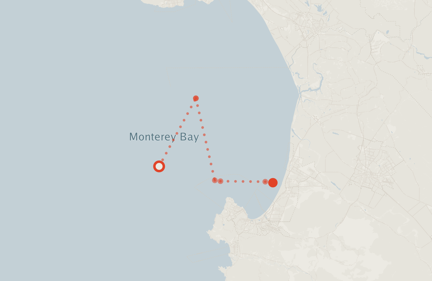 Activity map — real sighting points on an OpenStreetMap basemap