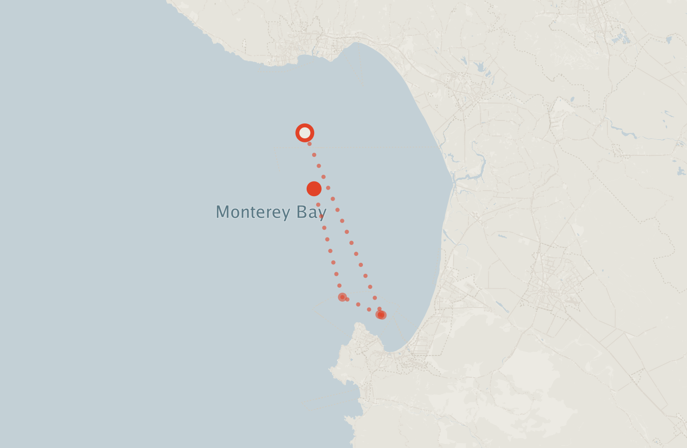 Activity map — real sighting points on an OpenStreetMap basemap