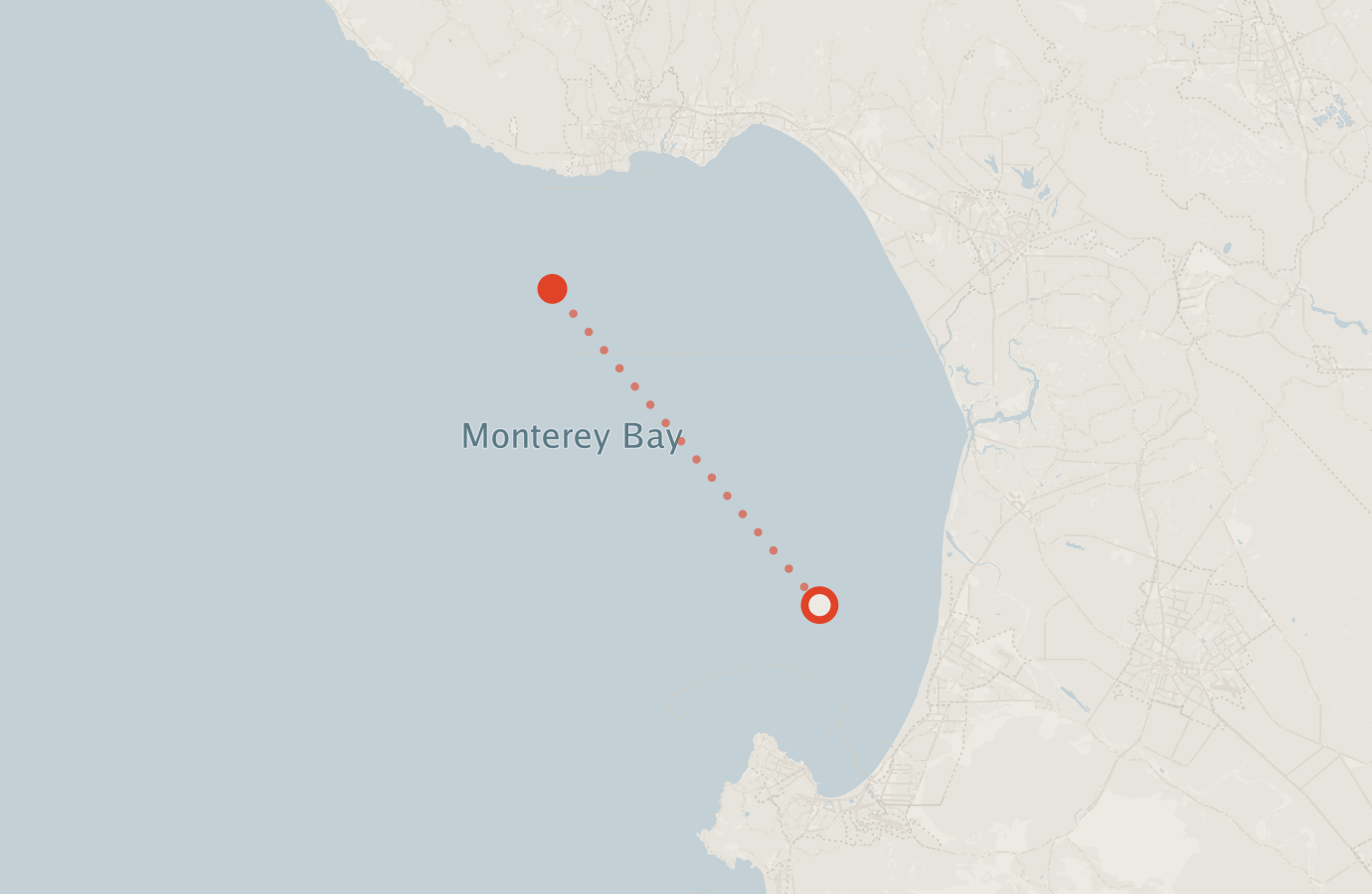 Activity map — real sighting points on an OpenStreetMap basemap