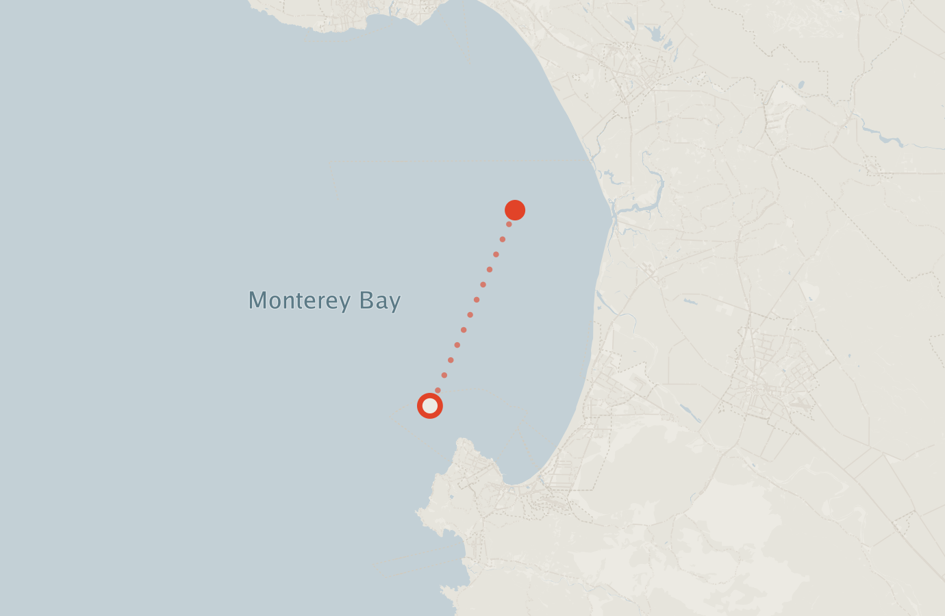 Activity map — real sighting points on an OpenStreetMap basemap