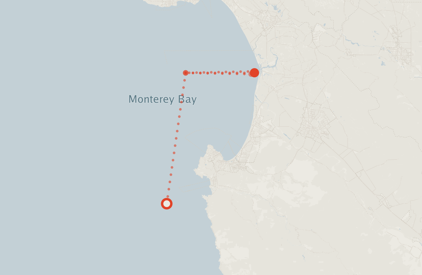 Activity map — real sighting points on an OpenStreetMap basemap