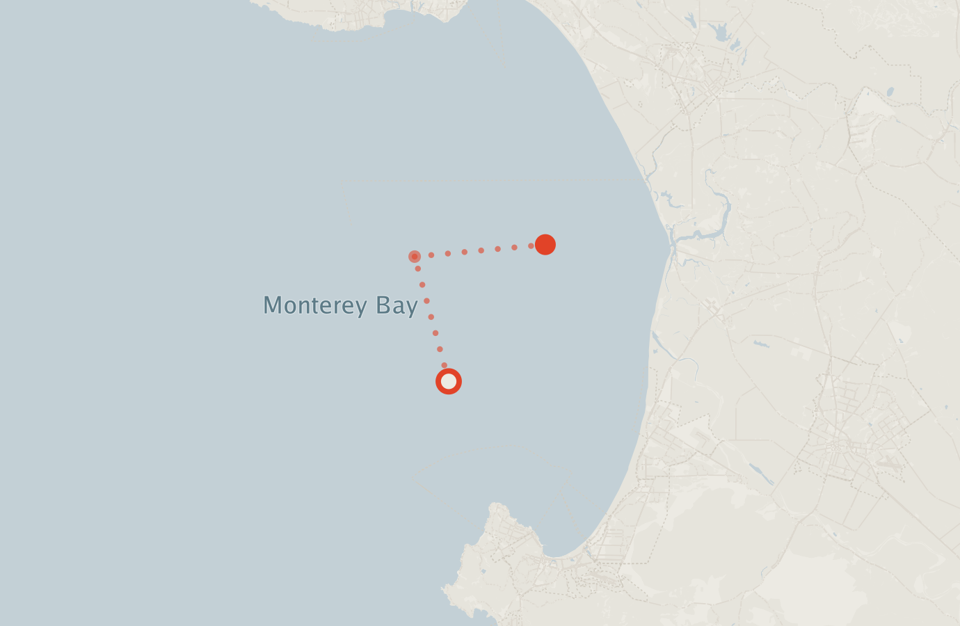 Activity map — real sighting points on an OpenStreetMap basemap