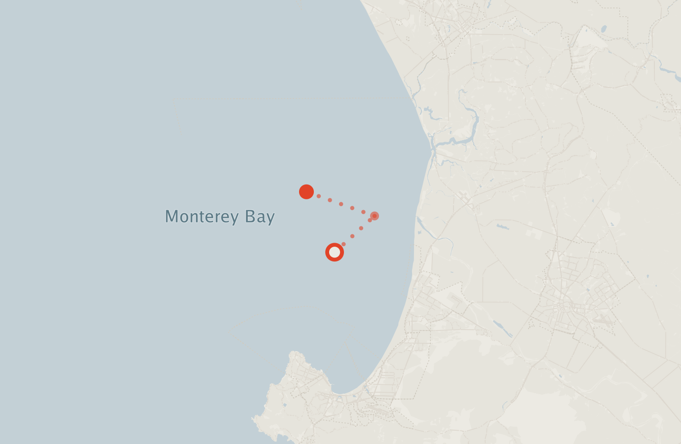 Activity map — real sighting points on an OpenStreetMap basemap