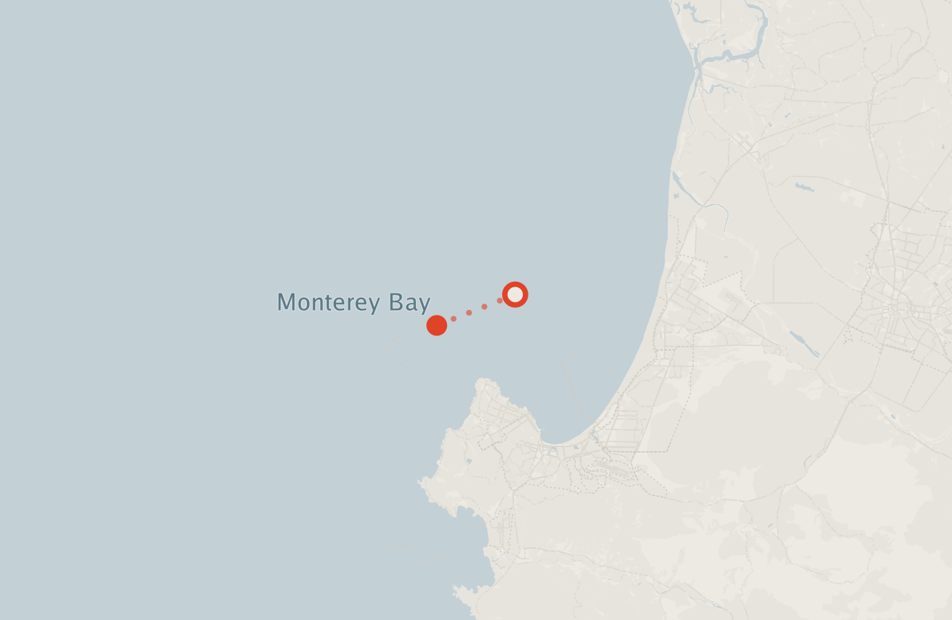 Activity map — real sighting points on an OpenStreetMap basemap