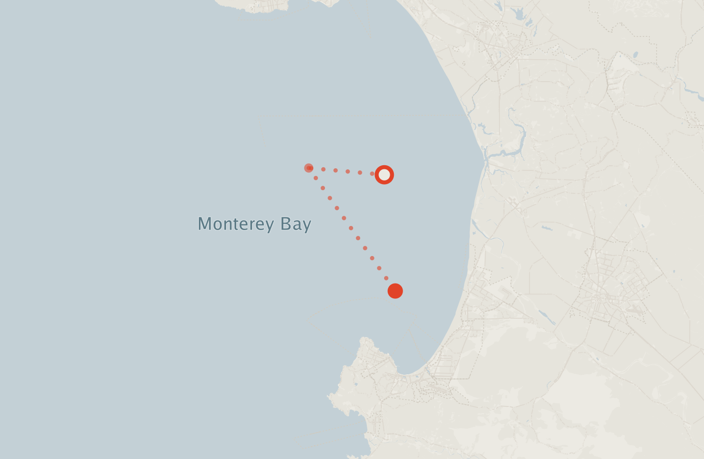 Activity map — real sighting points on an OpenStreetMap basemap