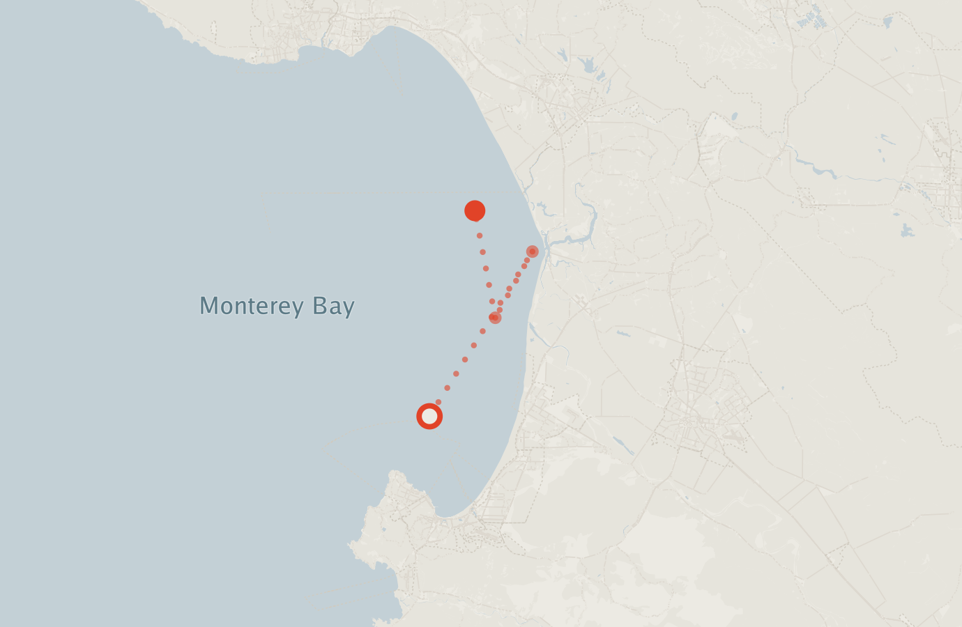 Activity map — real sighting points on an OpenStreetMap basemap
