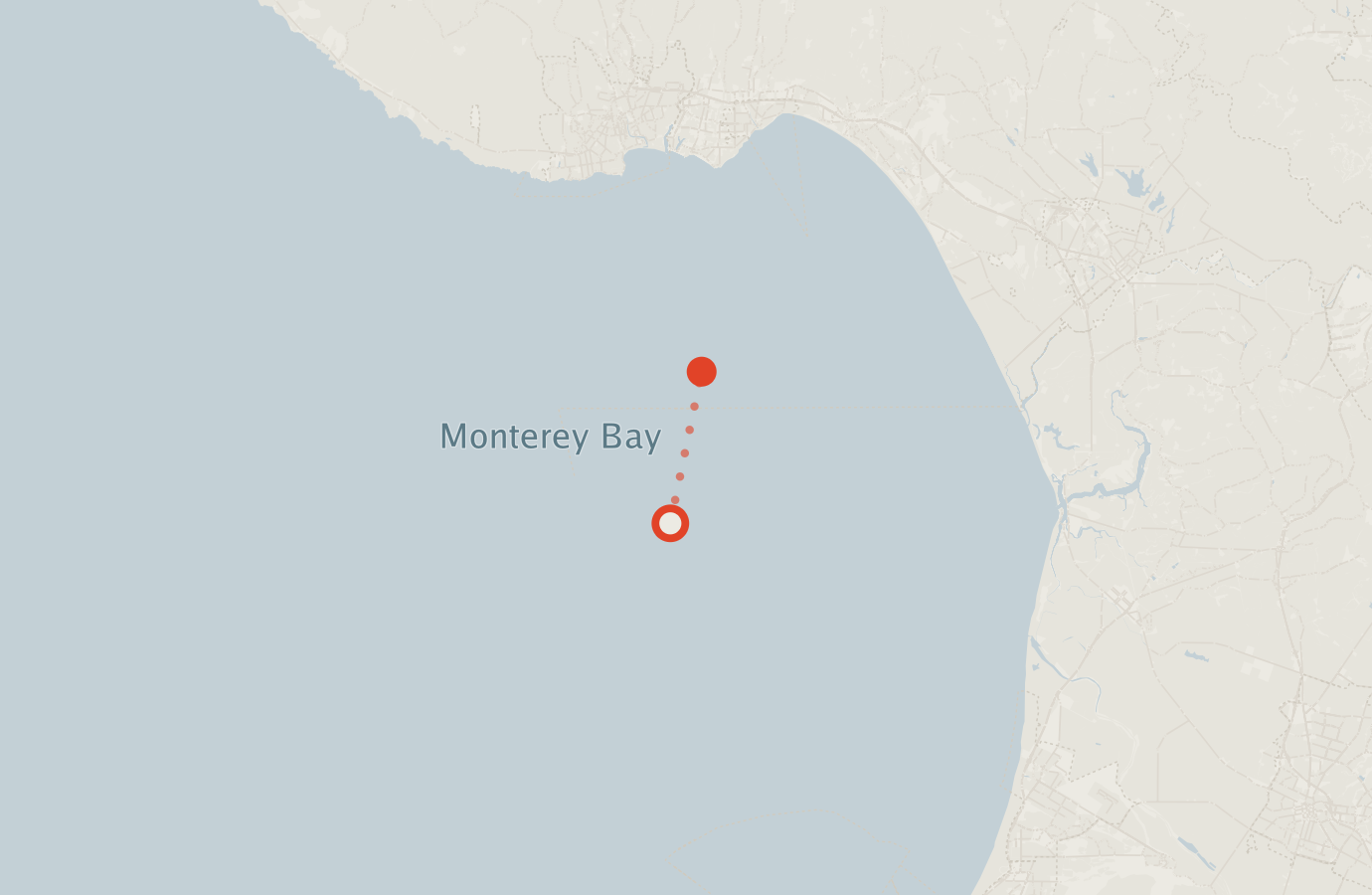 Activity map — real sighting points on an OpenStreetMap basemap