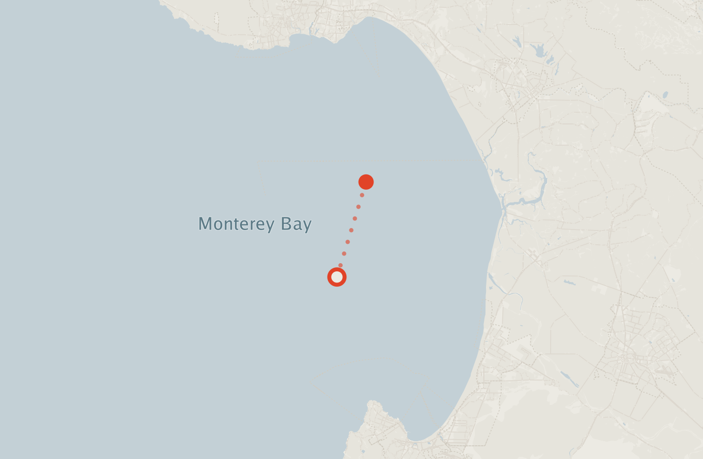 Activity map — real sighting points on an OpenStreetMap basemap