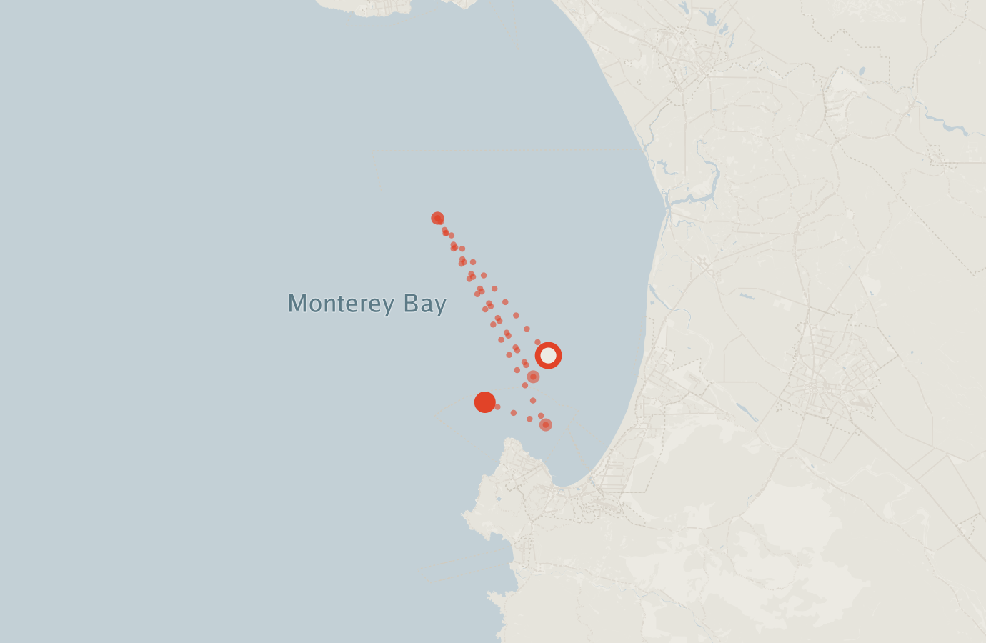 Activity map — real sighting points on an OpenStreetMap basemap
