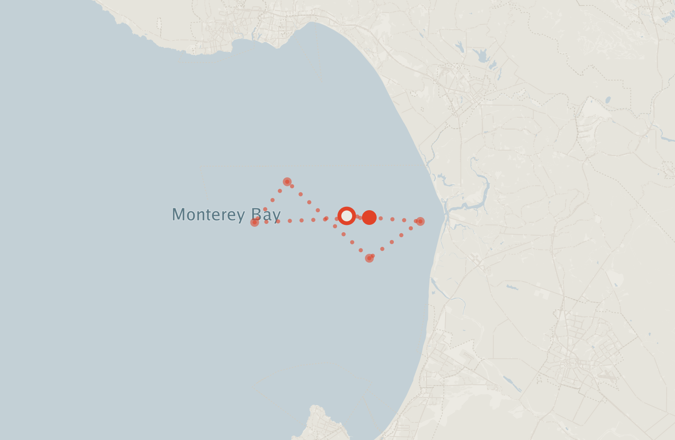 Activity map — real sighting points on an OpenStreetMap basemap