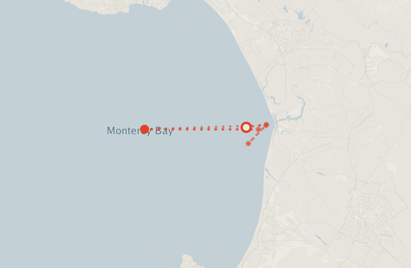 Activity map — real sighting points on an OpenStreetMap basemap