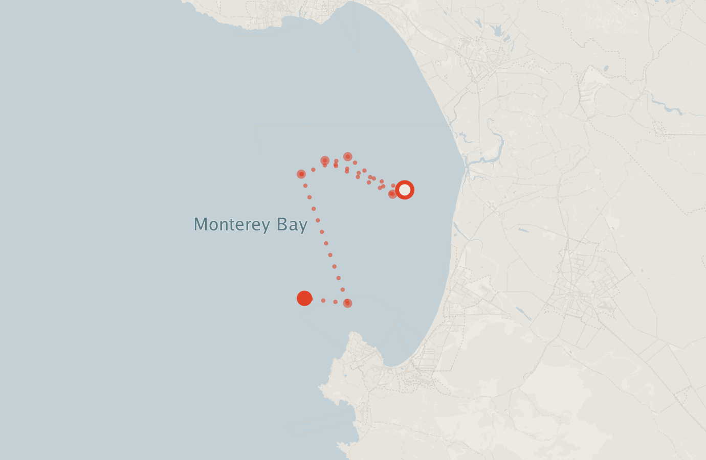 Activity map — real sighting points on an OpenStreetMap basemap