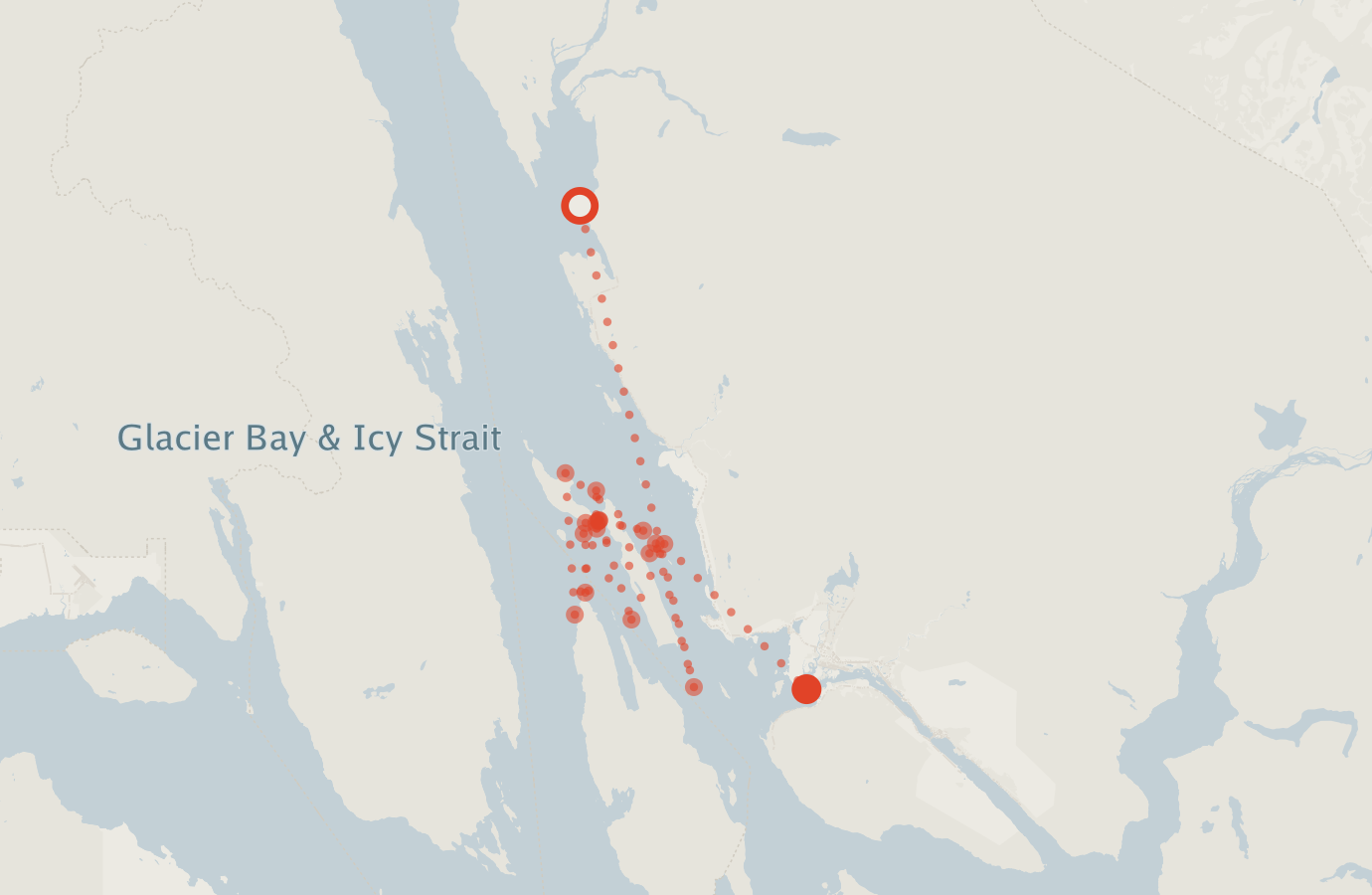 Activity map — real sighting points on an OpenStreetMap basemap
