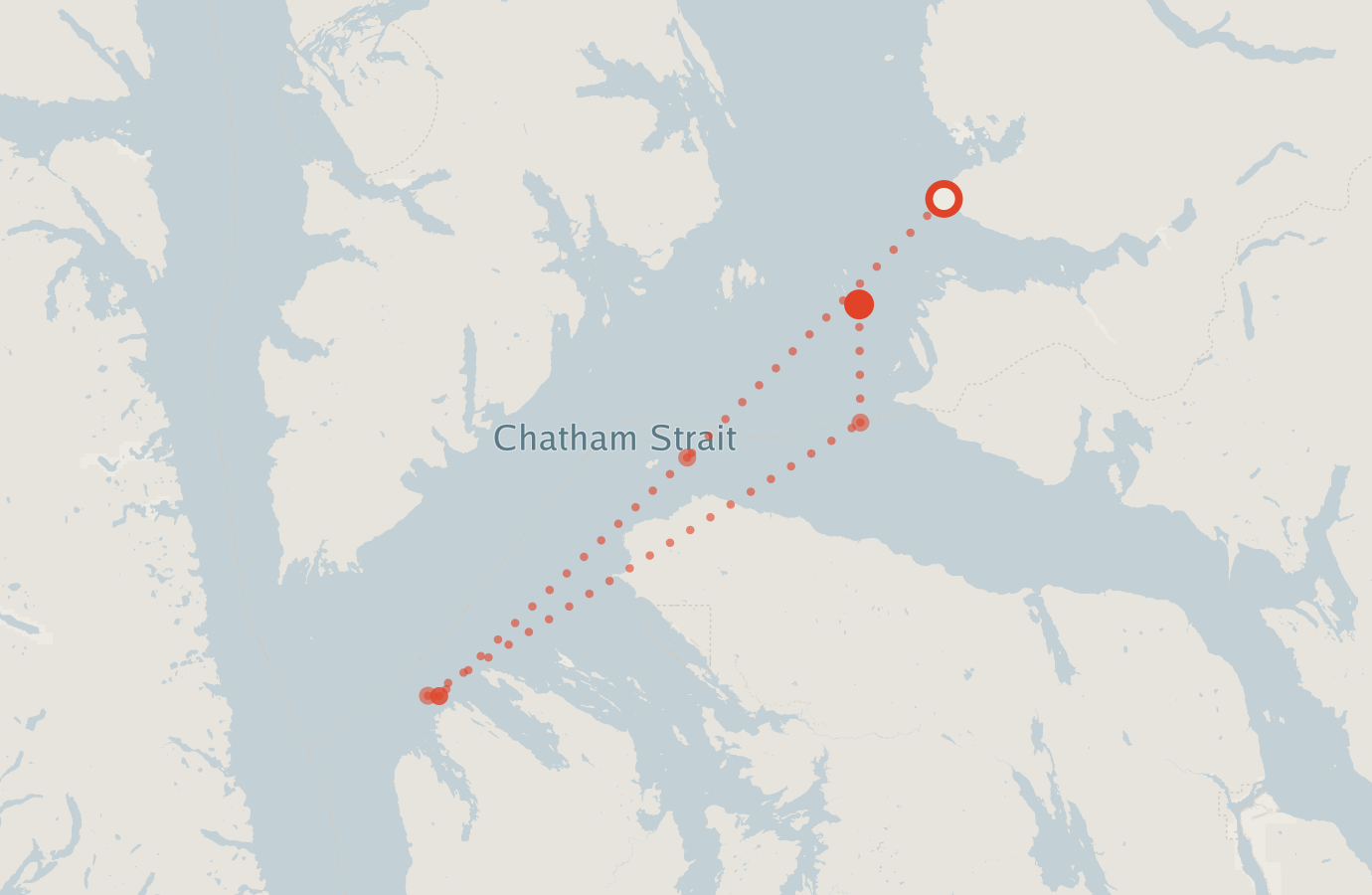 Activity map — real sighting points on an OpenStreetMap basemap