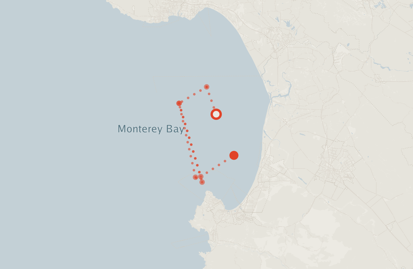 Activity map — real sighting points on an OpenStreetMap basemap