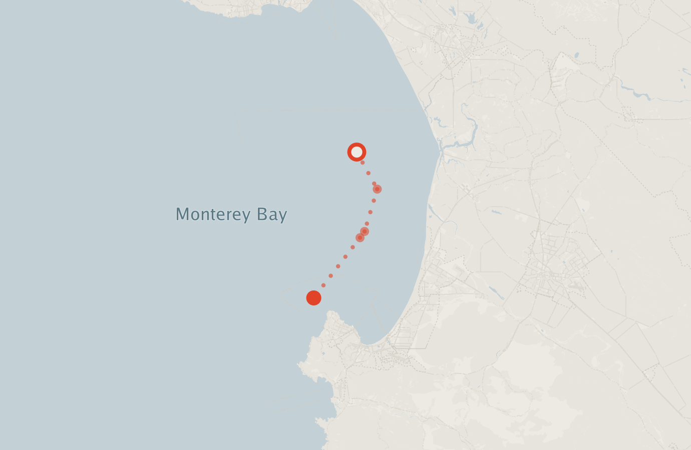 Activity map — real sighting points on an OpenStreetMap basemap