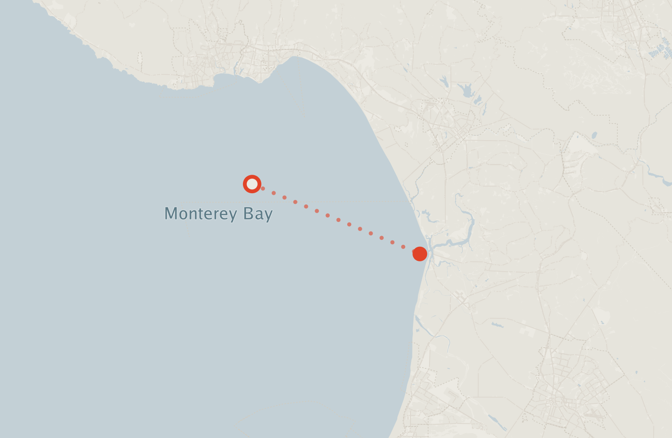 Activity map — real sighting points on an OpenStreetMap basemap